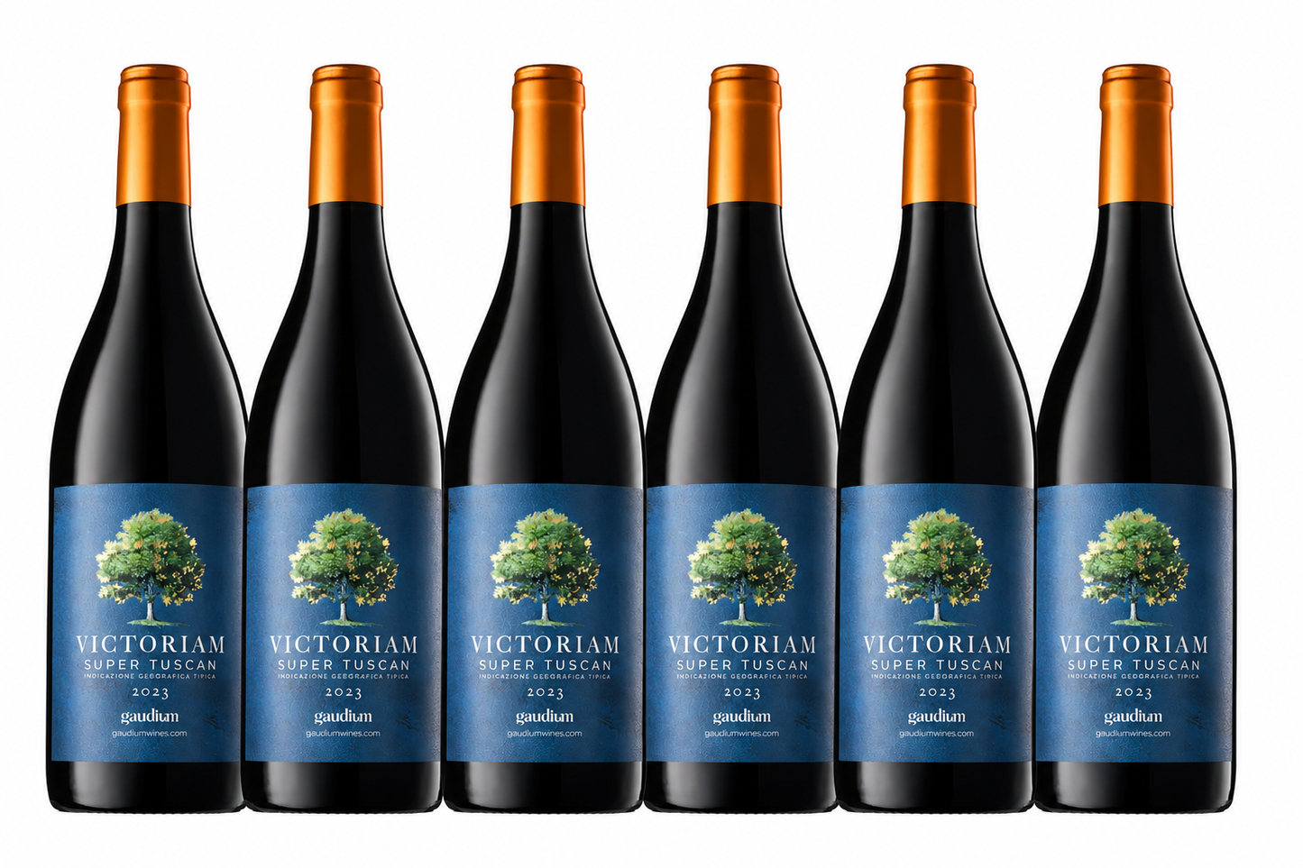 Case of 6 Victoriam Super Tuscan 2023 - IGT Toscana
